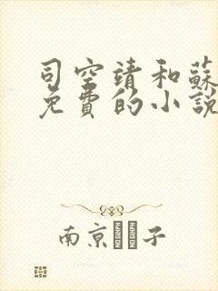 司空靖和苏月汐免费的小说笔趣阁