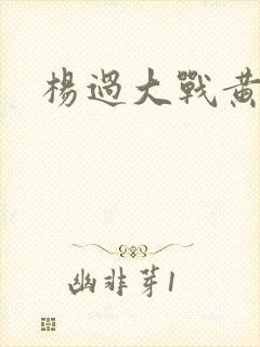 杨过大战黄蓉封面