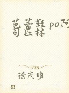 芭蕾鞋 po阿司匹林