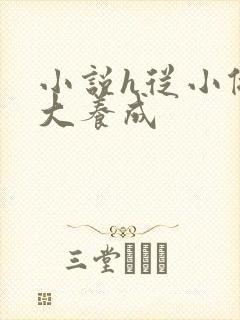 小说h从小做到大养成