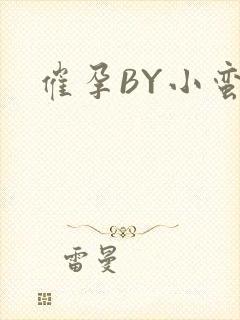 催孕BY小蛮腰