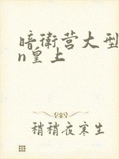 暗卫营大型hpn皇上封面