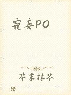 宠妾PO