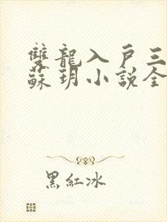 双龙入户三人行苏玥小说全文阅读