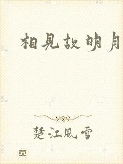 相见故明月