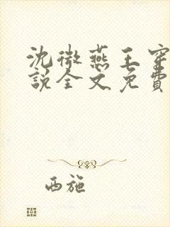 沈微燕王穿越小说全文免费阅读