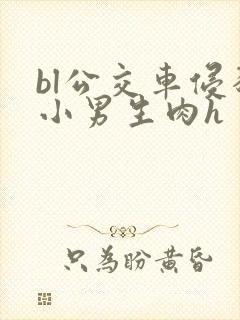 bl公交车侵犯小男生肉h