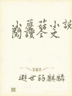 小蘑菇小说免费阅读全文