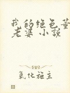 我的绝色董事长老婆 小说封面