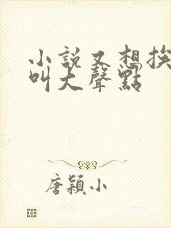 小说又想挨C了叫大声点封面