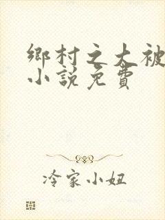 乡村之大被同眠小说免费