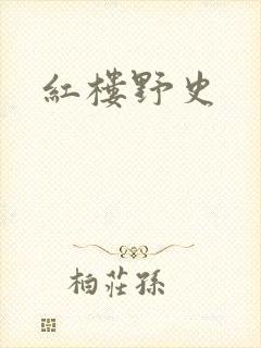 红楼野史