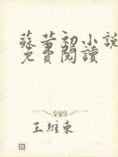 苏若初小说全文免费阅读封面