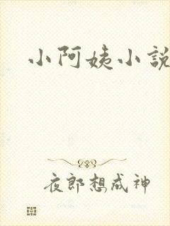小阿姨小说