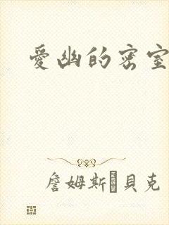 爱幽的密室小说