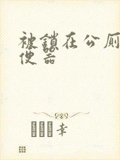 被锁在公厕当坐便器封面
