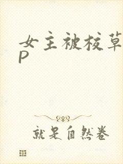 女主被校草们NP