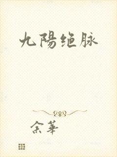 九阳绝脉封面