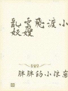 乱云飞渡小说之姣嫂