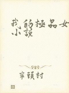 我的极品女老师小说