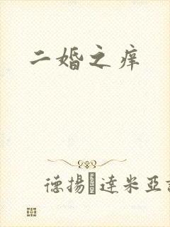 二婚之痒封面