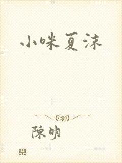 小咪夏沫封面