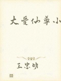 大爱仙尊小说