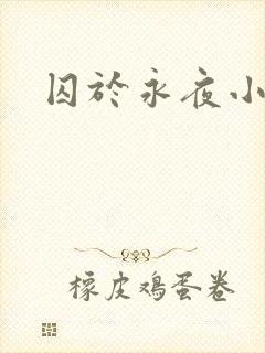 囚于永夜小说封面