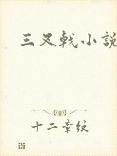三叉戟小说
