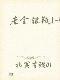 老金银瓶1-5