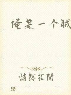 俺是一个贼
