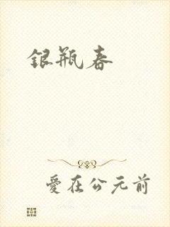 银瓶春封面