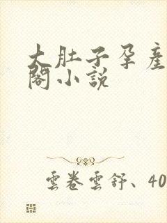 大肚子孕产笔趣阁小说封面
