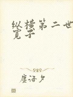 纵横第二世界 宽子封面