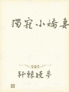 独宠小娇妻封面