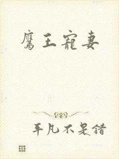 鹰王宠妻