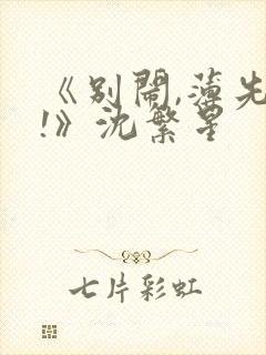 《别闹,薄先生!》沈繁星