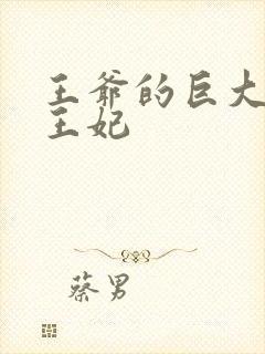 王爷的巨大进入王妃