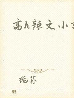 高h辣文小说