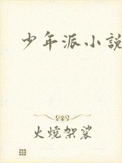 少年派小说