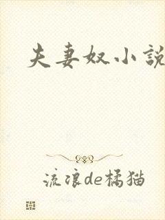 夫妻奴小说