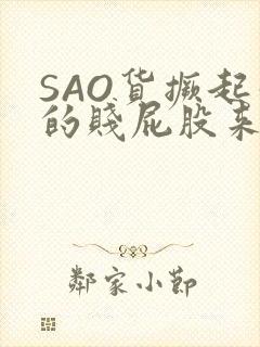SAO货撅起你的贱屁股来