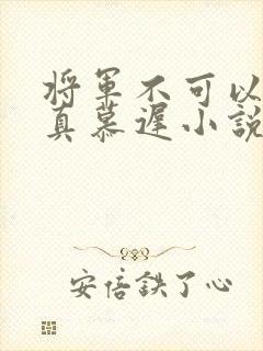 将军不可以魏云真慕迟小说笔趣阁