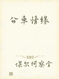 公车情缘