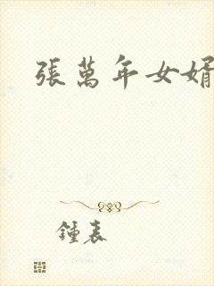 张万年女婿封面