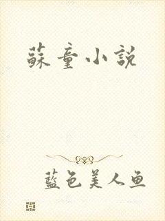 苏童小说