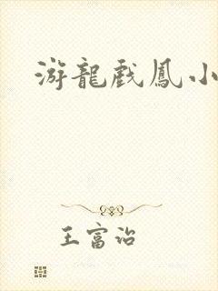 游龙戏凤小说封面