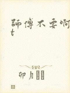 师傅不要啊txt