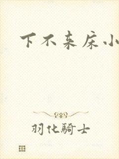 下不来床小说