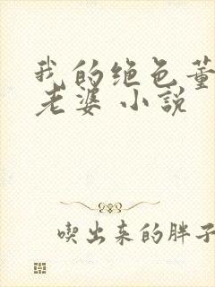 我的绝色董事长老婆 小说